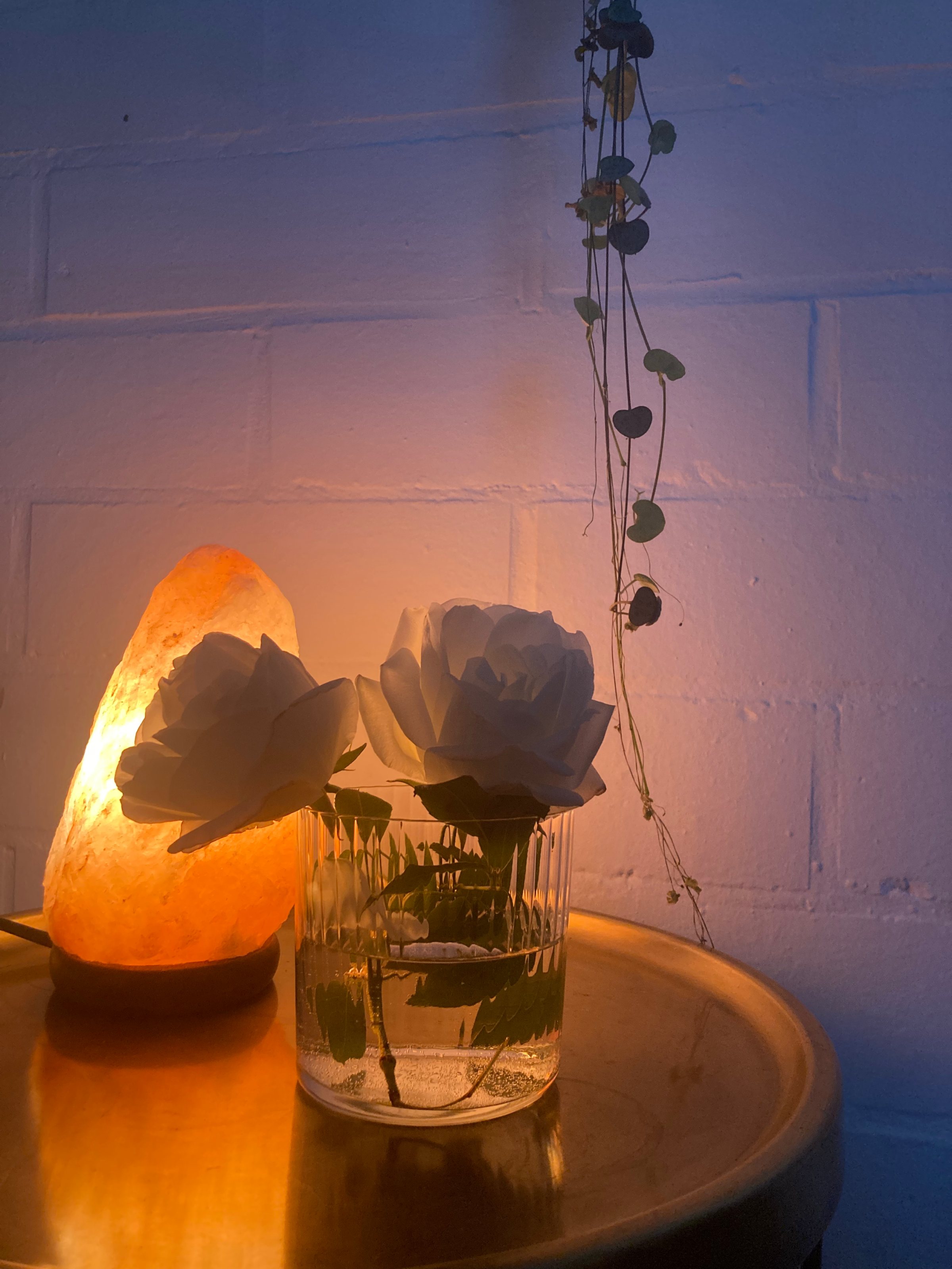 Sacred Womb Session